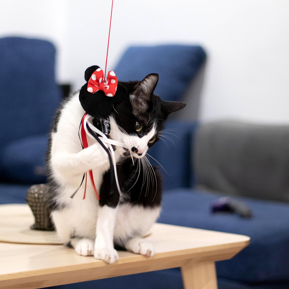 Coffret cadeau chat Minnie : jouet canne à pêche Minnie