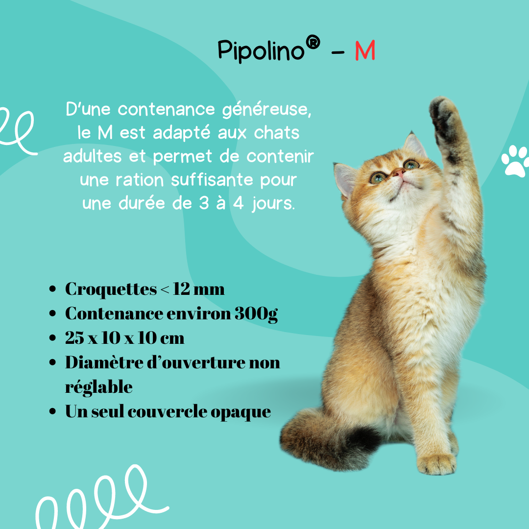 PIPOLINO® para gatos: Una nueva forma de comer mientras juega para tu felino favorito