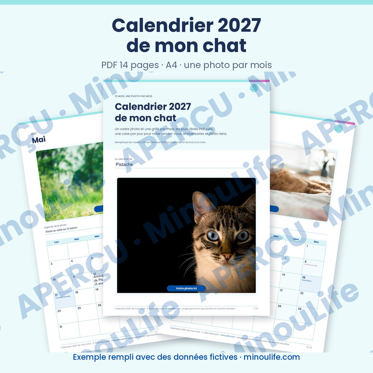 Aperçu du calendrier 2027 de mon chat, version française, photos d'exemple non incluses