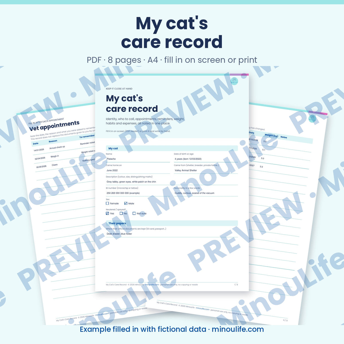 Preview of My Cat's Care Record, English version, example filled in with fictional data